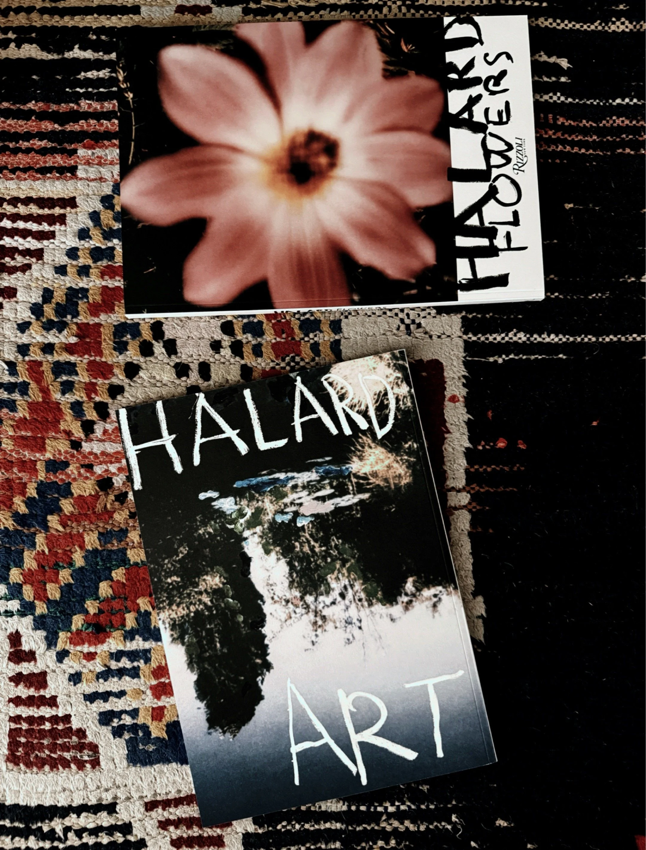francois halard books, artist inspiration