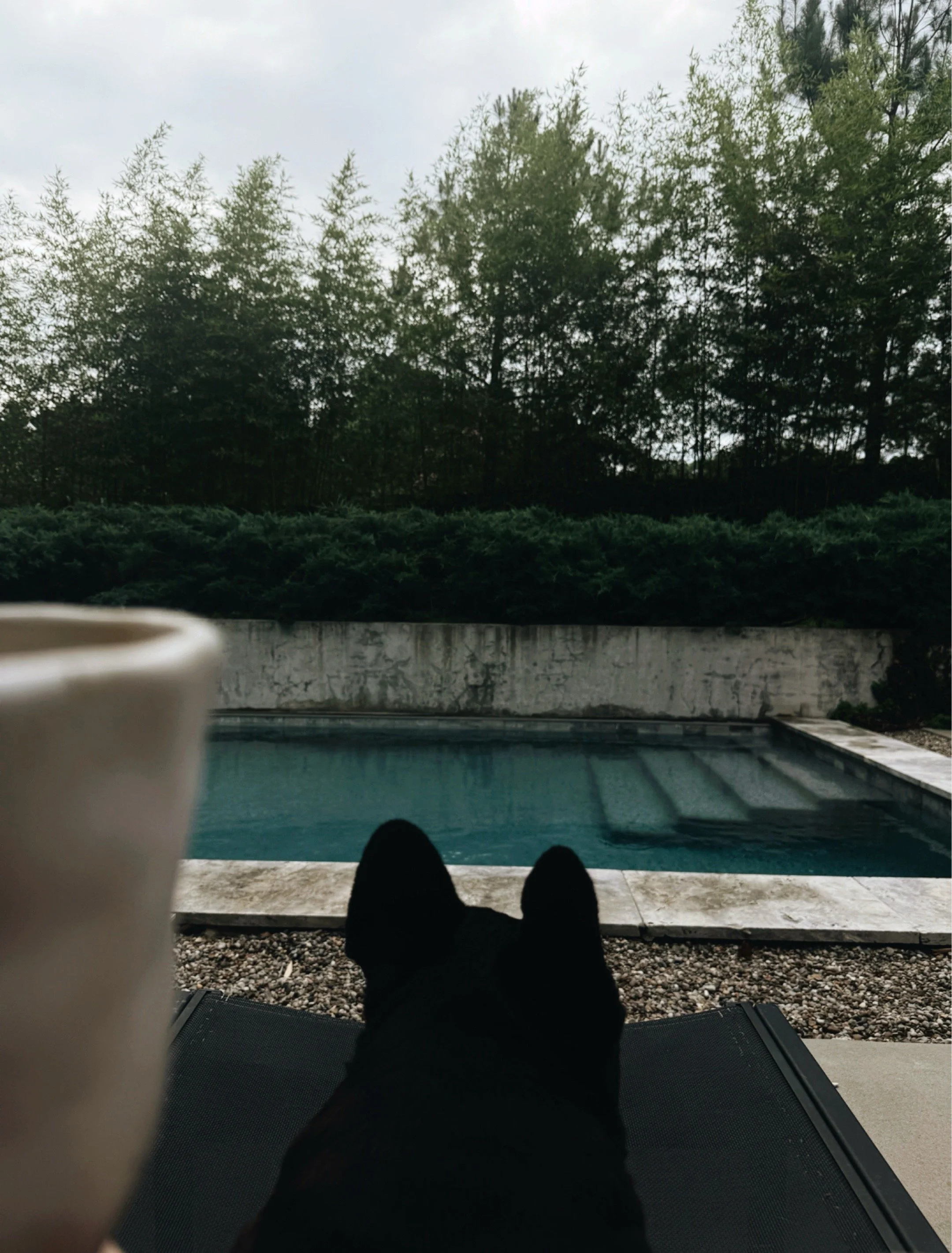 Coffee cup beside a swimming pool with sunlight reflecting on the water.