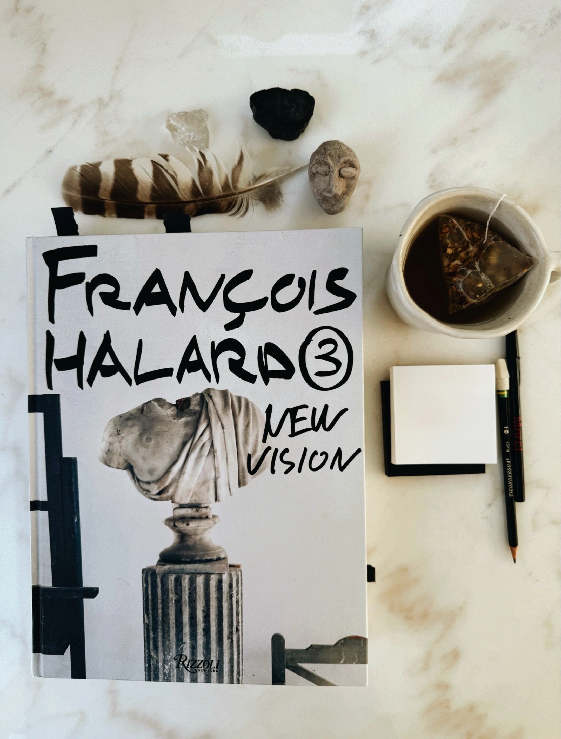 François Halard 3: New Vision photography book on studio table.