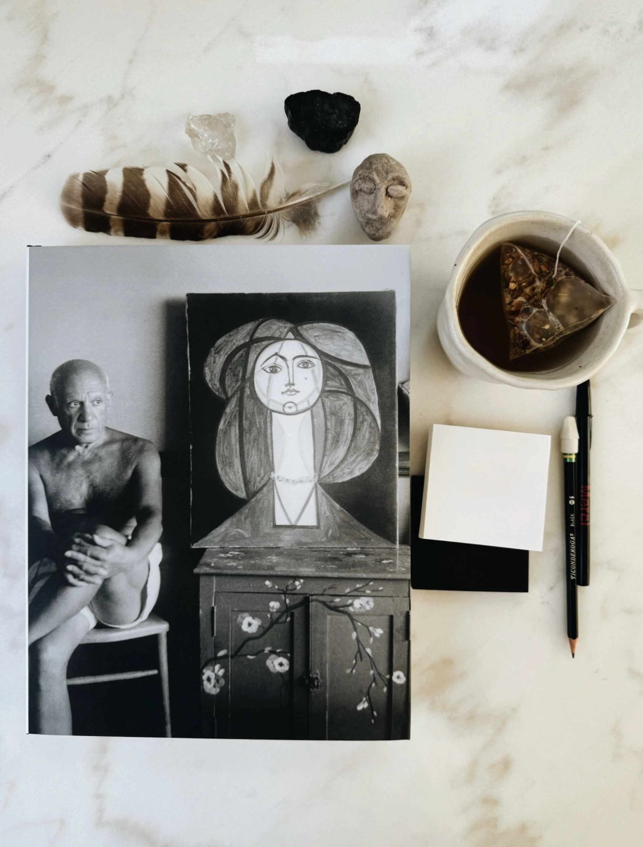 Picasso and Françoise Gilot: Paris–Vallauris 1943–1953 exhibition catalog photographed in a modern black and white studio.
