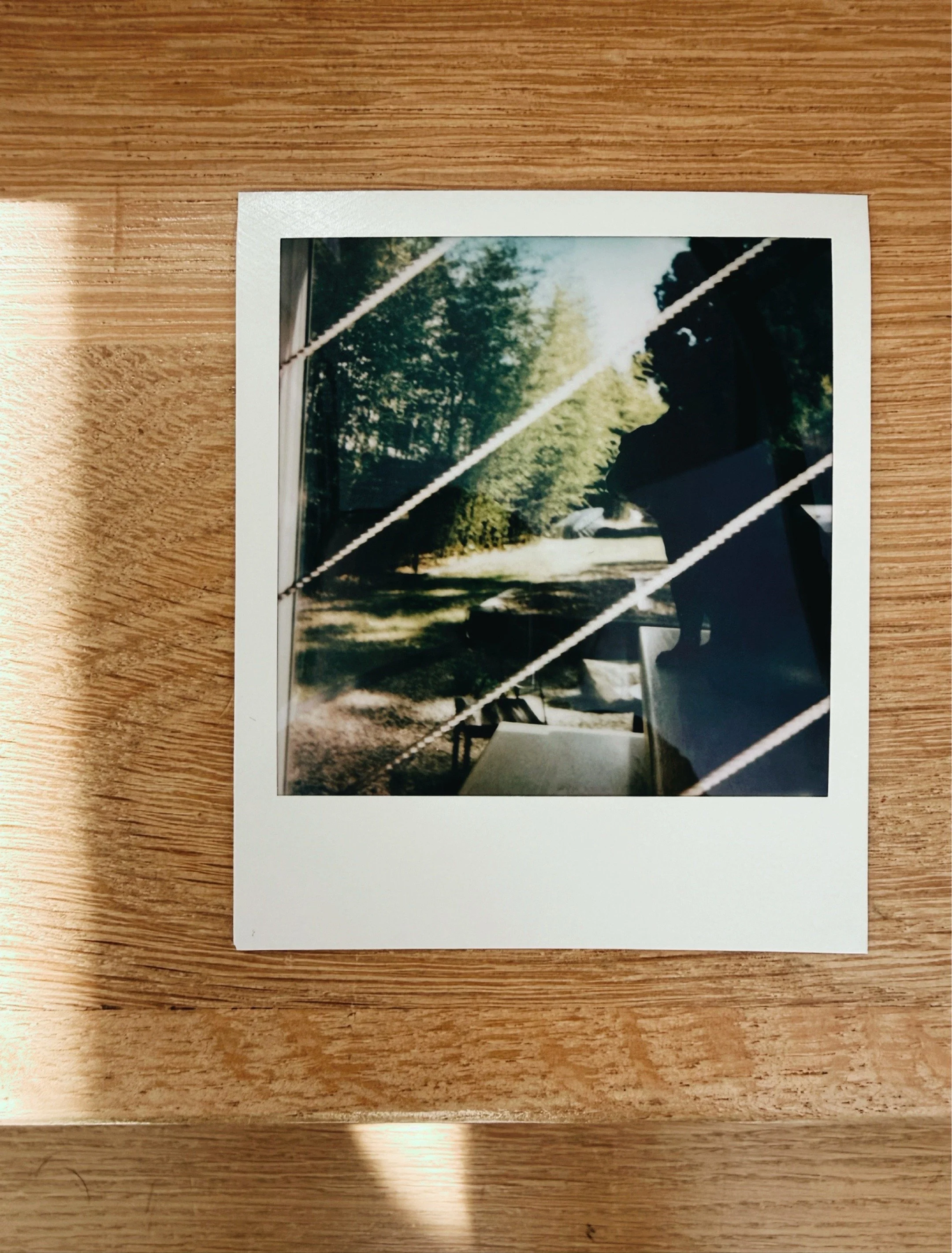 Polaroid photograph looking down through modern stair railings into dappled light and trees below