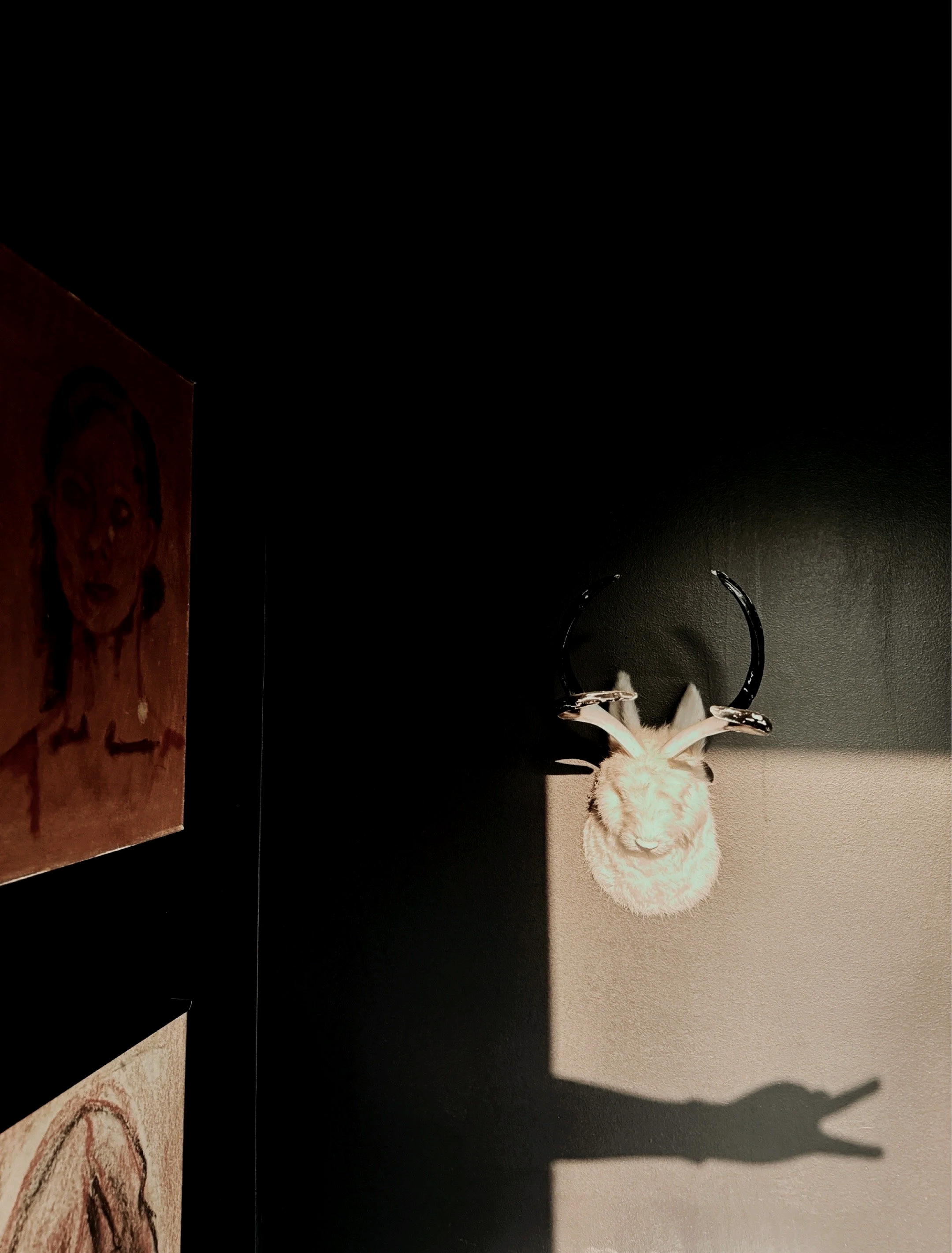In the home of Michel Van Devender - Sunlight casting dramatic shadows across a black wall featuring artwork and a decorative horned wall sculpture.