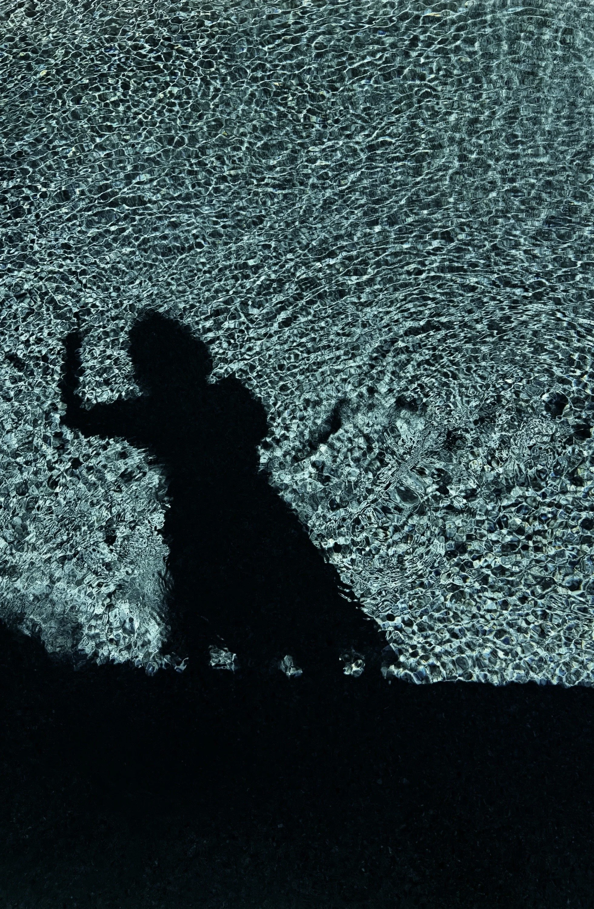 moody pool shadow of artist michel van devender modern black house