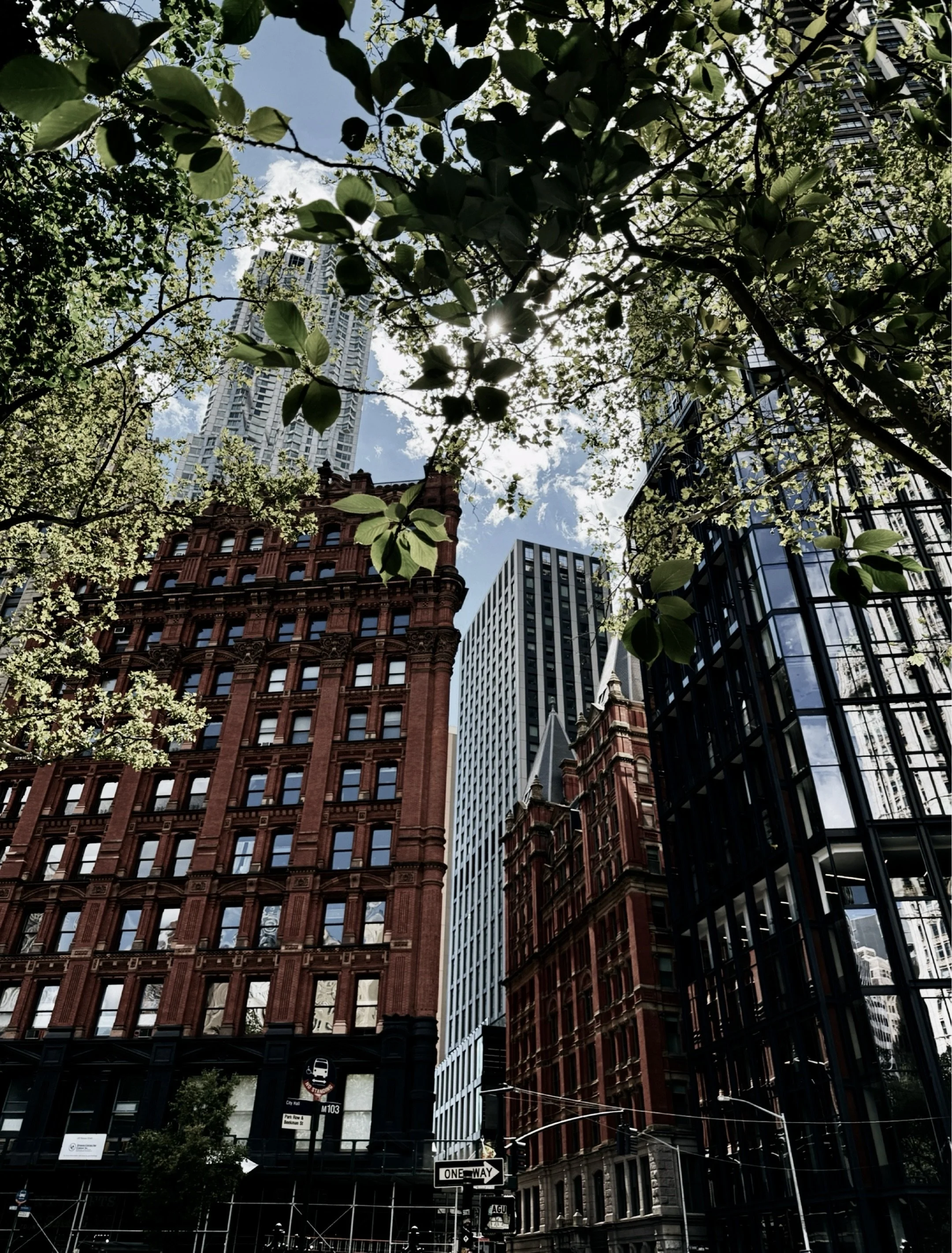 Historic red brick buildings framed by trees in New York City.