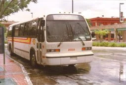 Sun Tran #8959