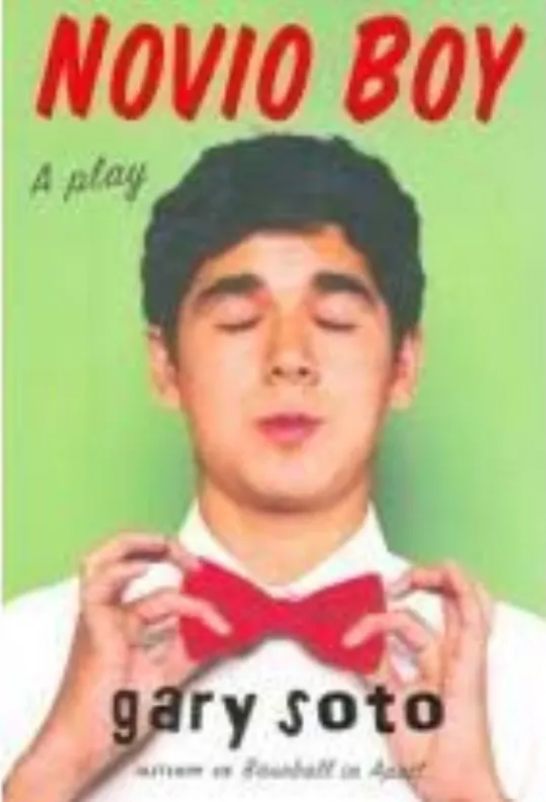 Novio Boy