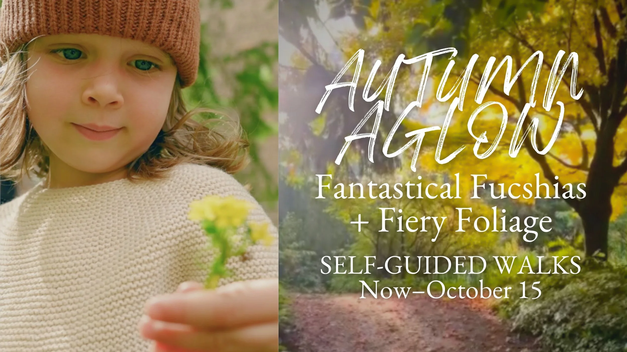 Autumn Aglow: Fantastical Fuchsias+Fiery Foliage