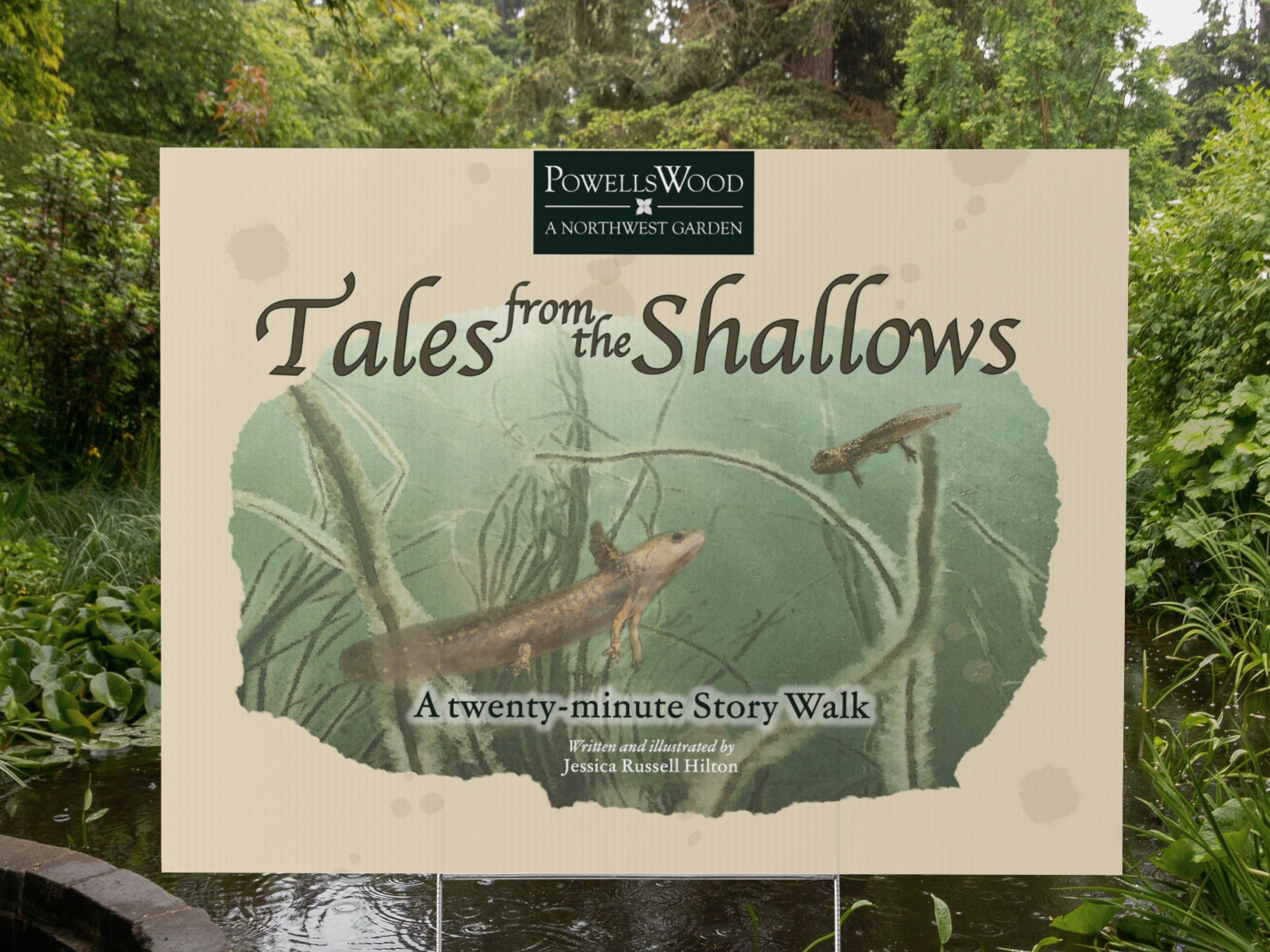 Story Walk Launch Party - Tales from the Shallows