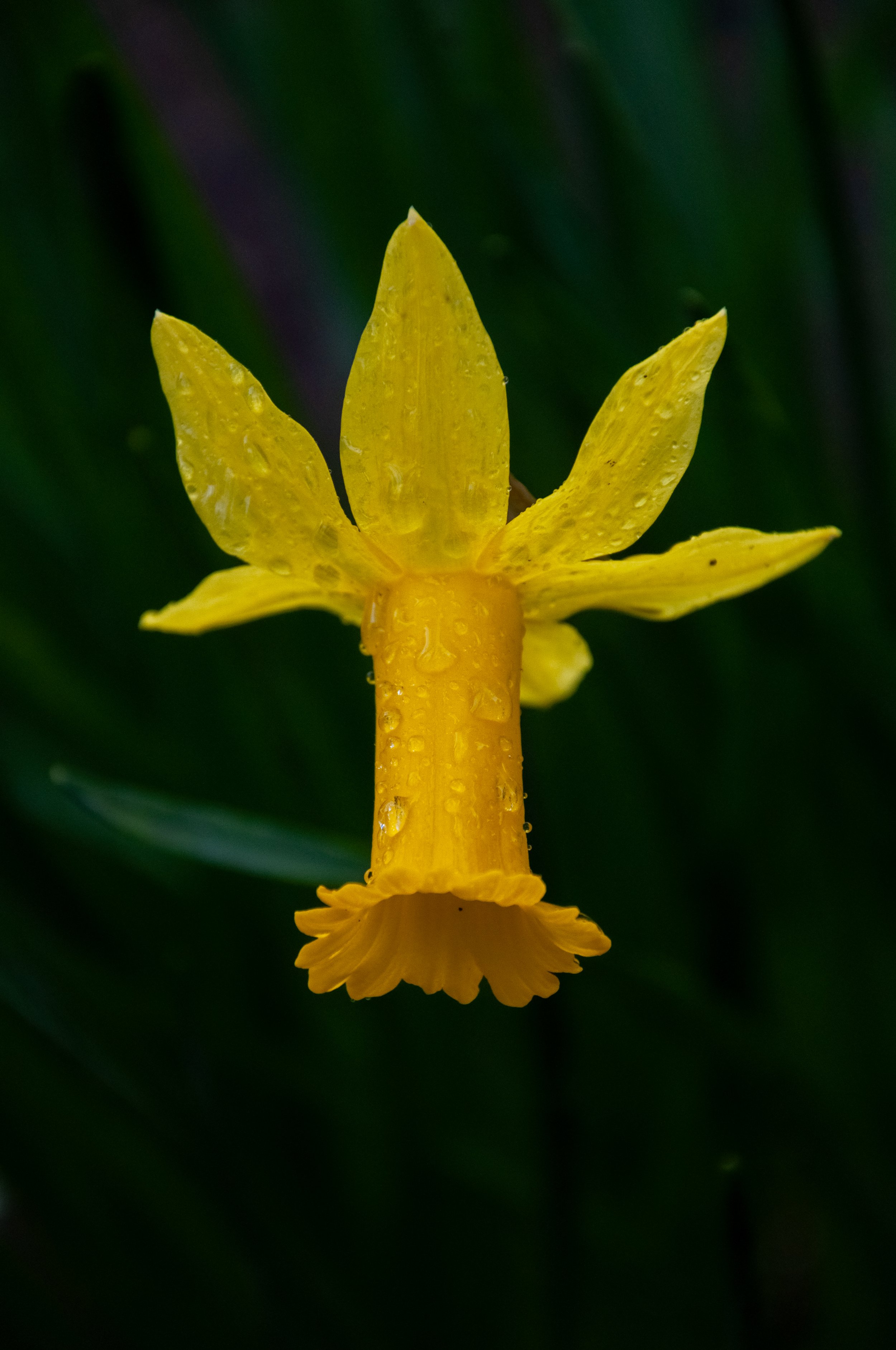 DSC_2354.jpg