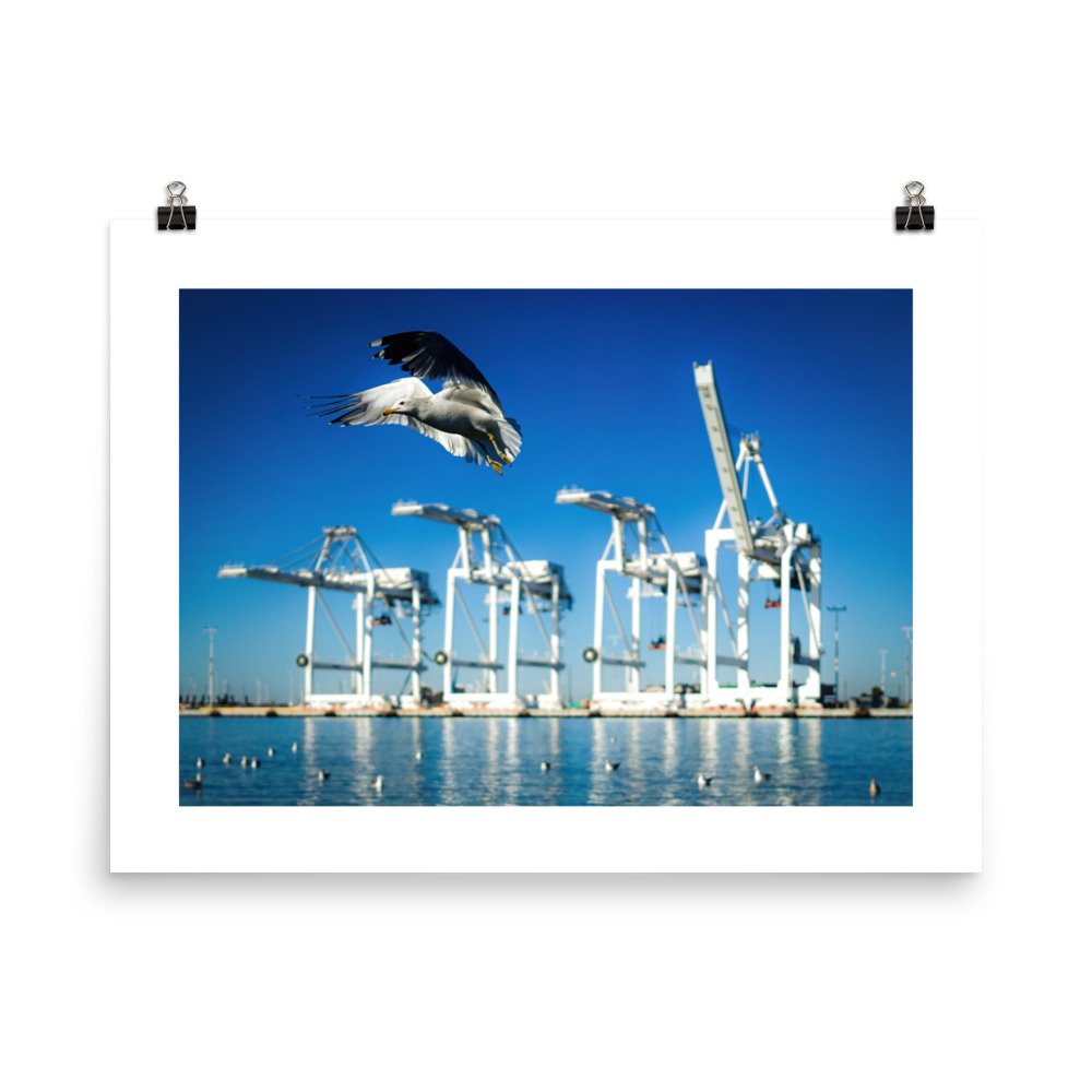 enhanced-matte-paper-poster-(in)-18x24-transparent-63b3d28f424df.jpg