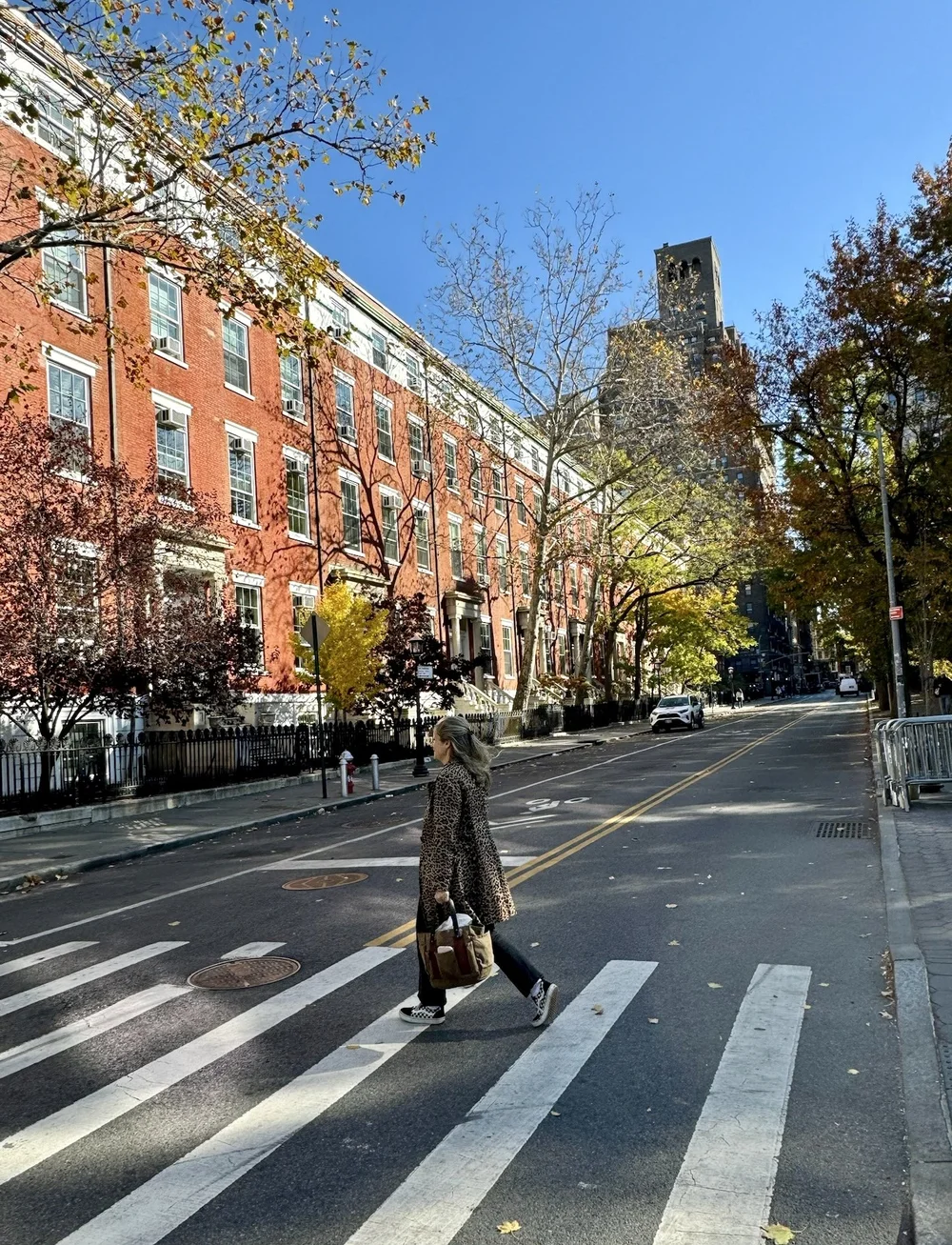 Contact Frances Bailey