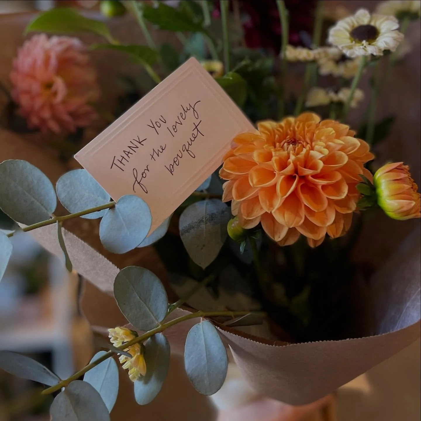 Ready for all the showgirls ❤️‍🔥