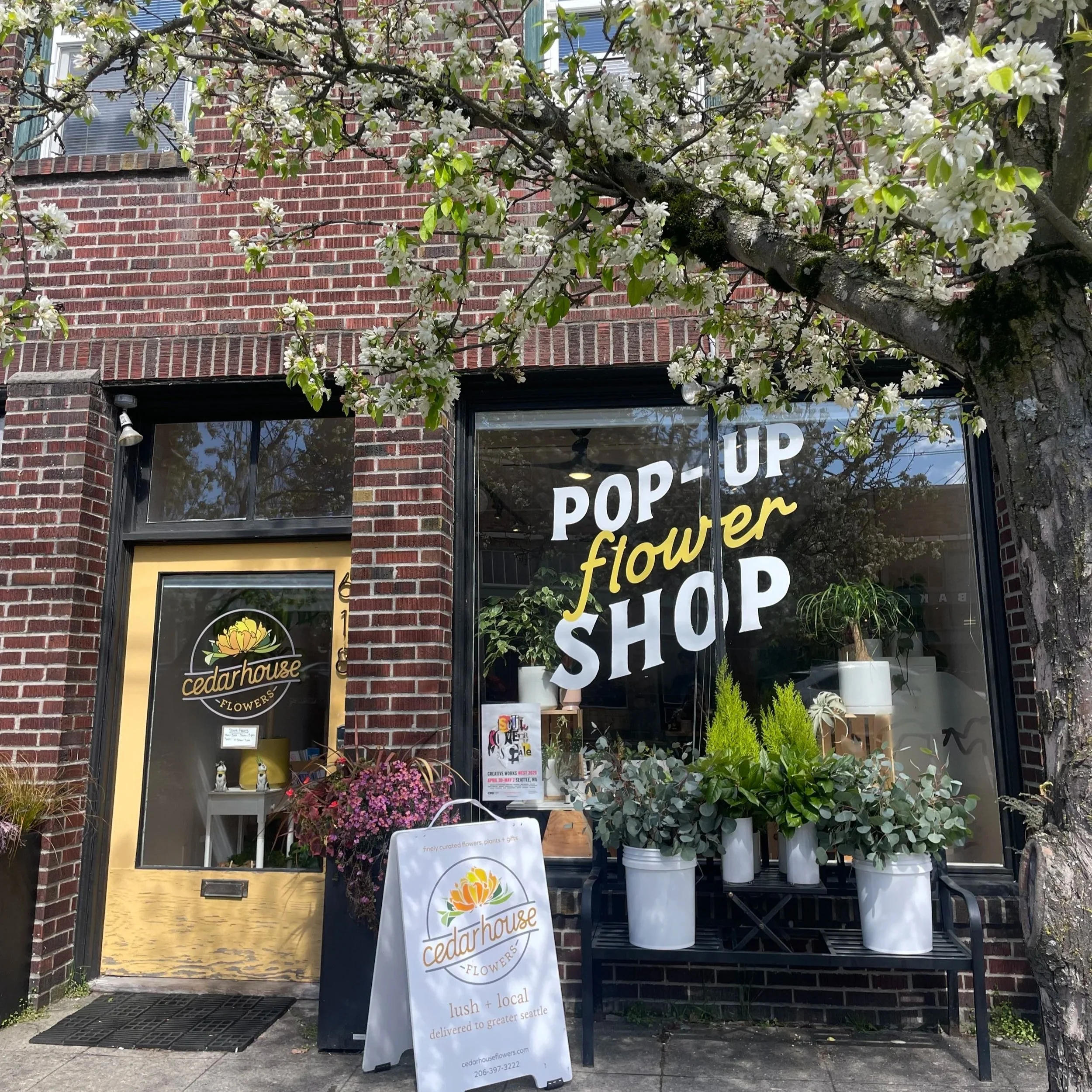 exciting news, queen anne!