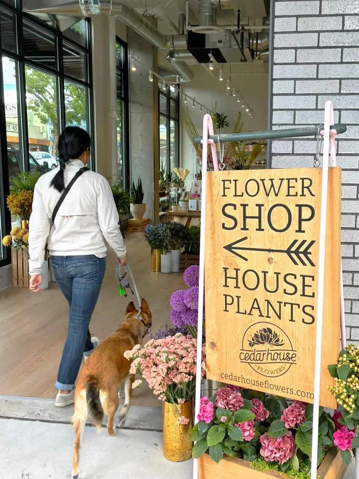 A woman walking her dog into a flower shop. The shop has large windows and various potted flowers both outside and inside. A wooden signboard with arrow pointing left indicates the shop sells house plants, flowers, and is named Cedarhouse.