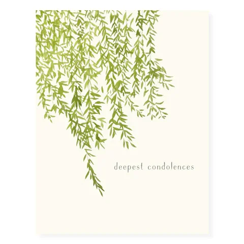 35830-weeping-willow_OFS-WEBA.webp