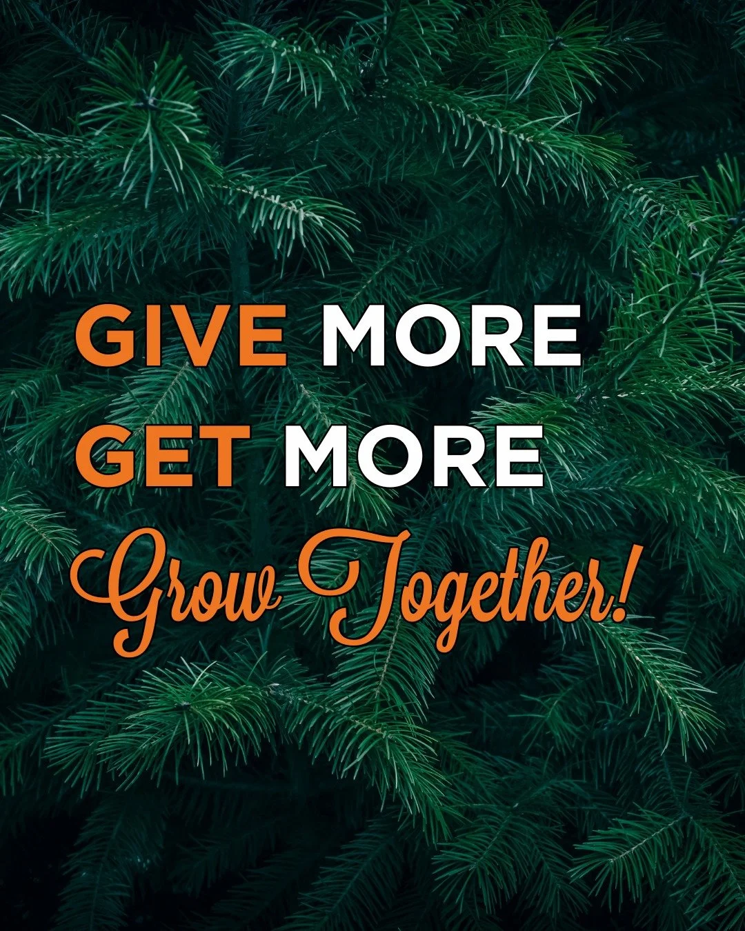 This holiday season, we&rsquo;re giving back &mdash; together. 🌲
When you purchase a $100 e-gift card, you&rsquo;ll receive a $25 bonus card, and we&rsquo;ll plant a verified tree in wildfire affected areas through our partnership with @Veritreeoffi