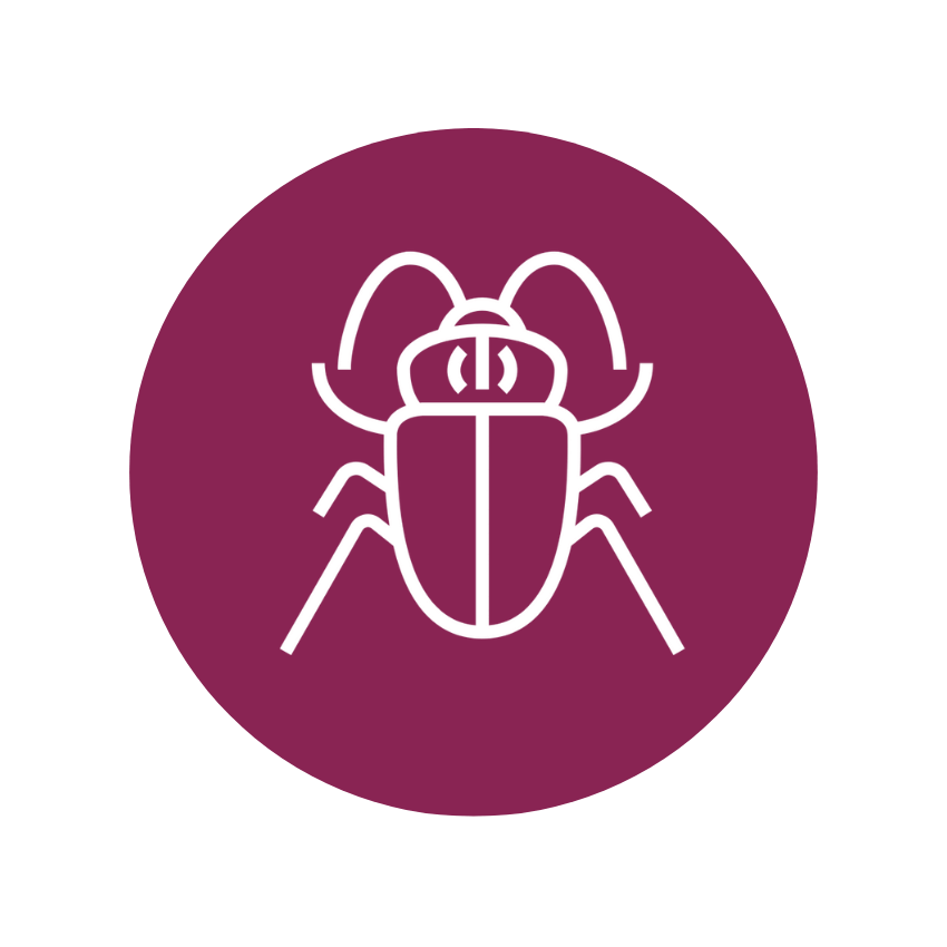 Illustration of a bug icon on a purple circular background.