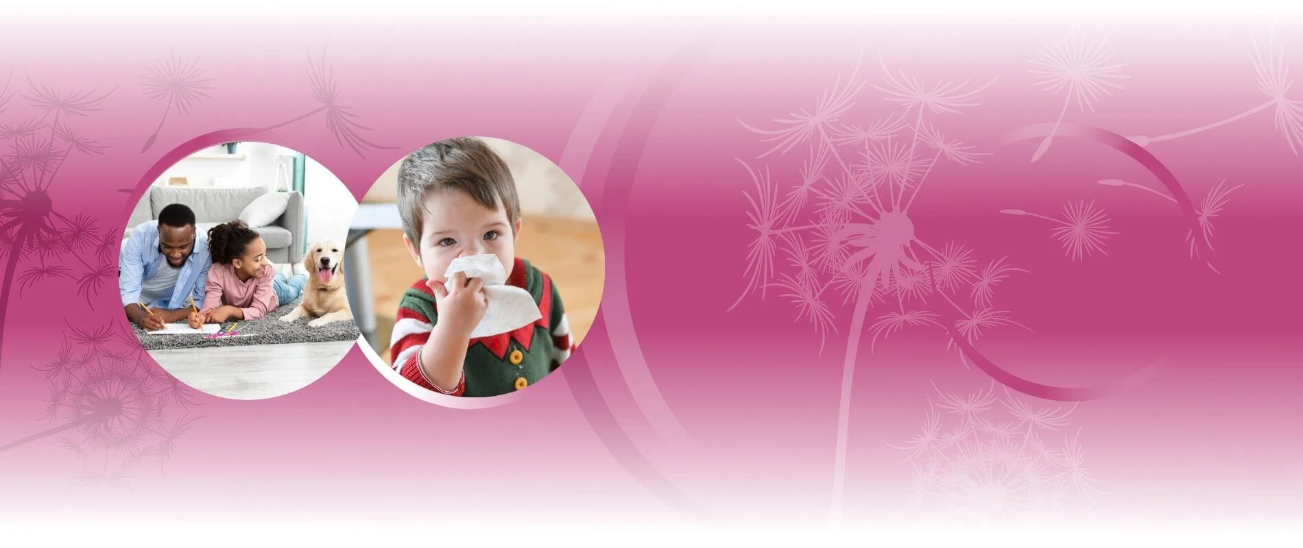 Allergy and Asthma Care of Brooklyn