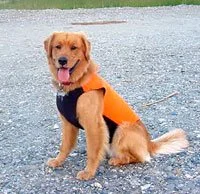 Luke Sky Watcher.jpeg