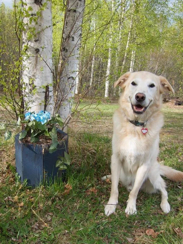 Captain Kierke 2017.jpeg