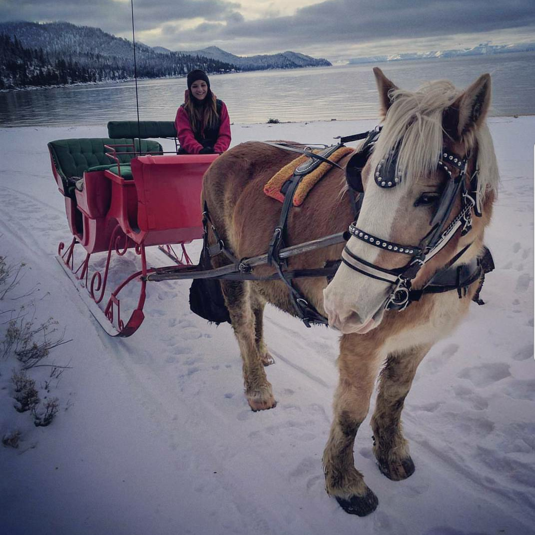 Open for Sleigh Rides @ Sand Harbor State Park, Nevada