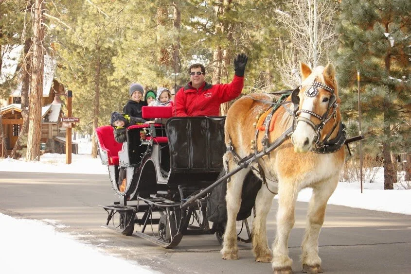 December 21st, 2017 - January 1st of 2018