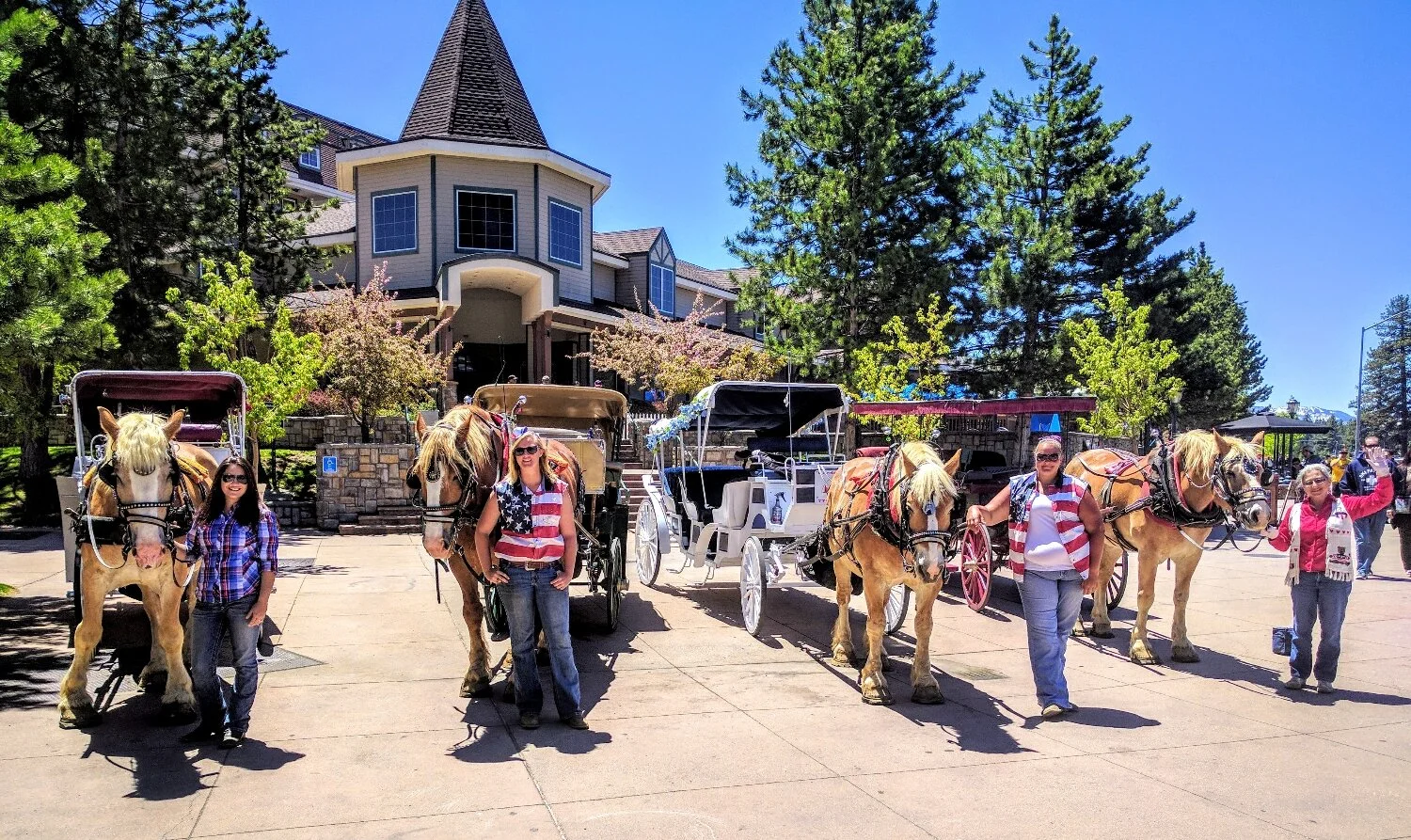 Four carriages ready to go or Memorial Day