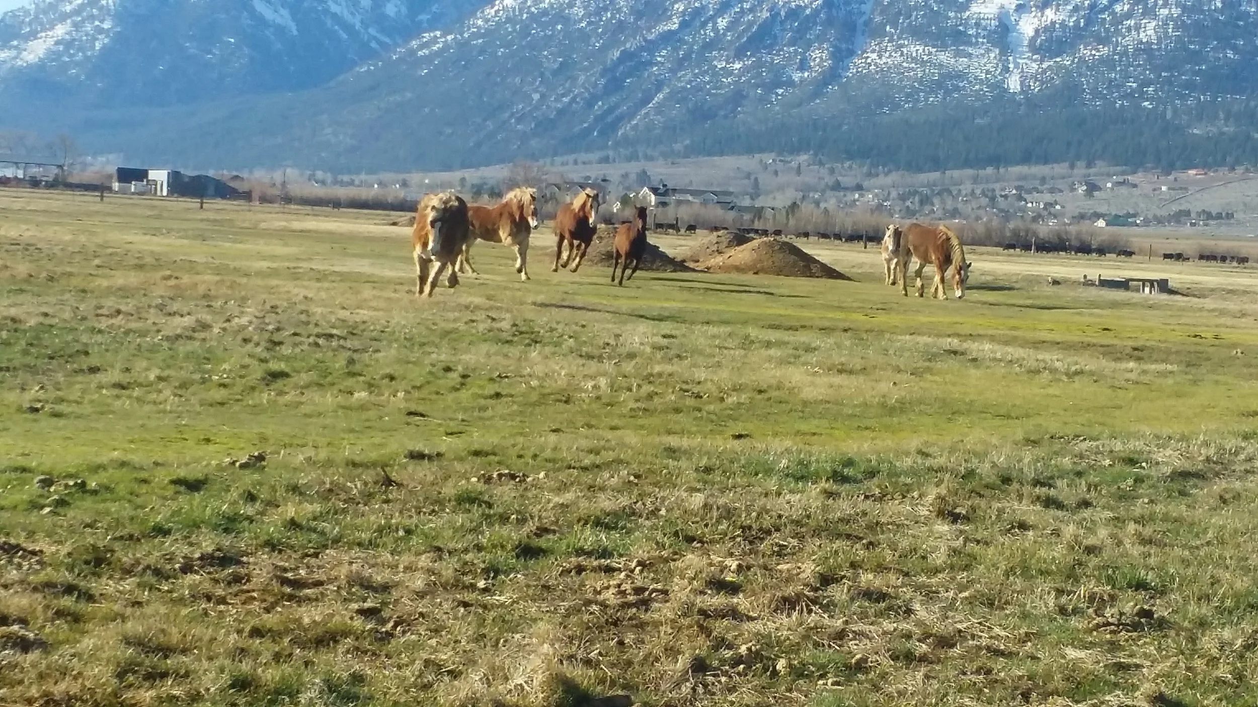 Tuesday March 14, 2017