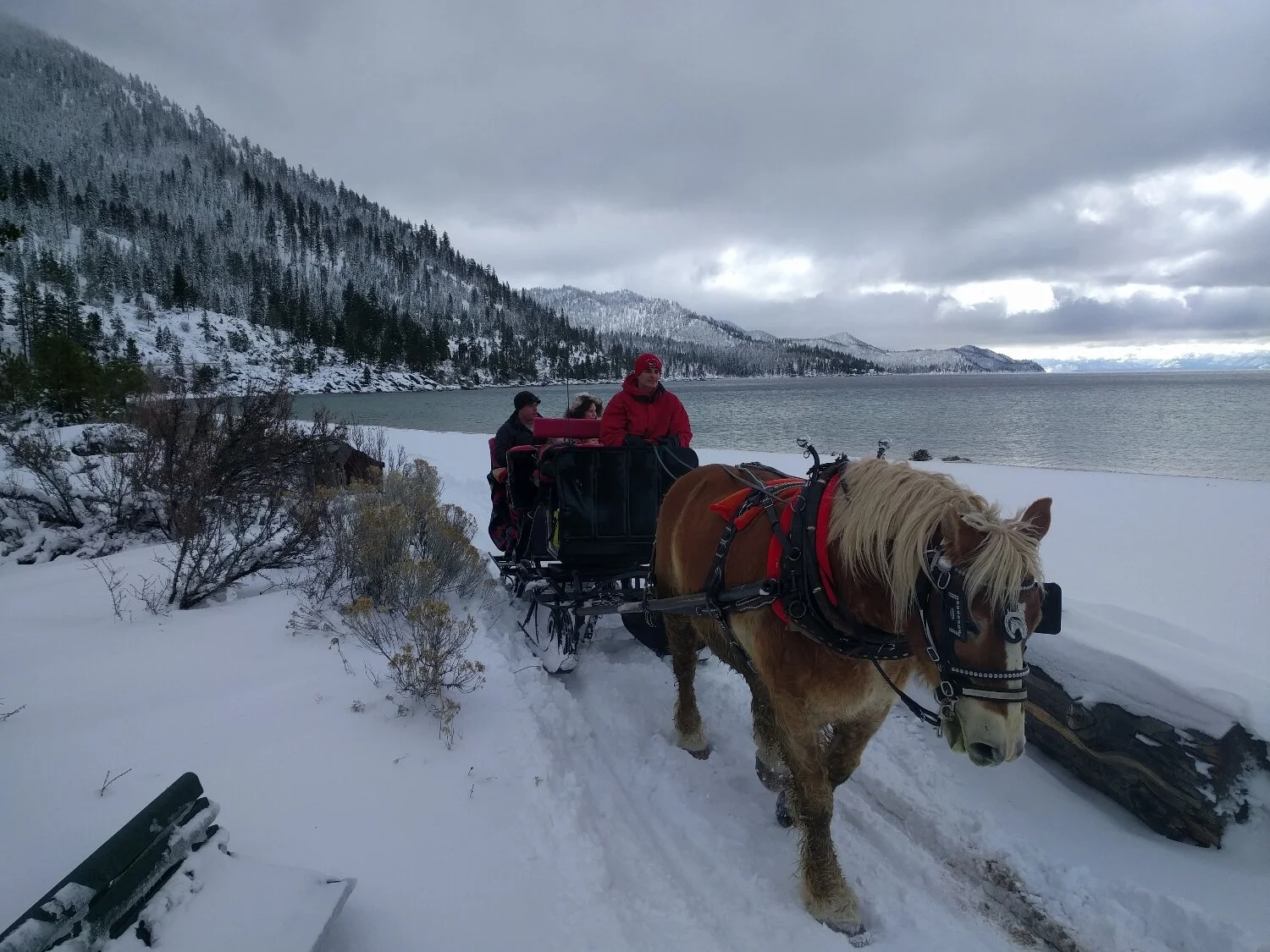 Sand Harbor sleigh ride