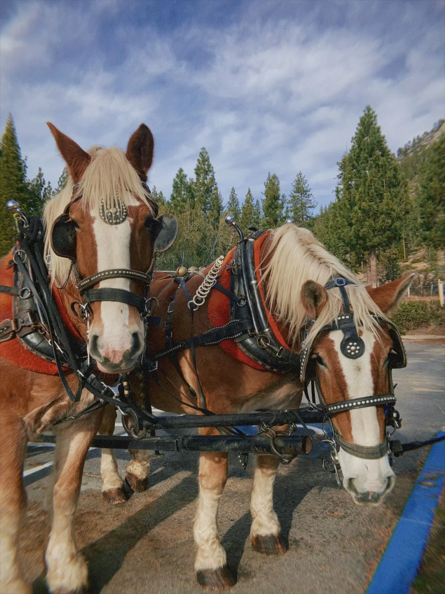 Holiday Season is upon Us