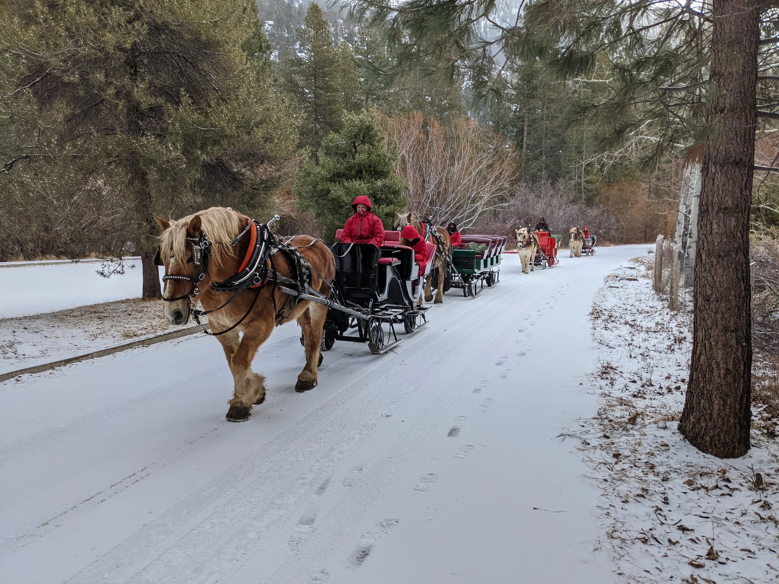 Open 10am - 3pm at Sand Harbor