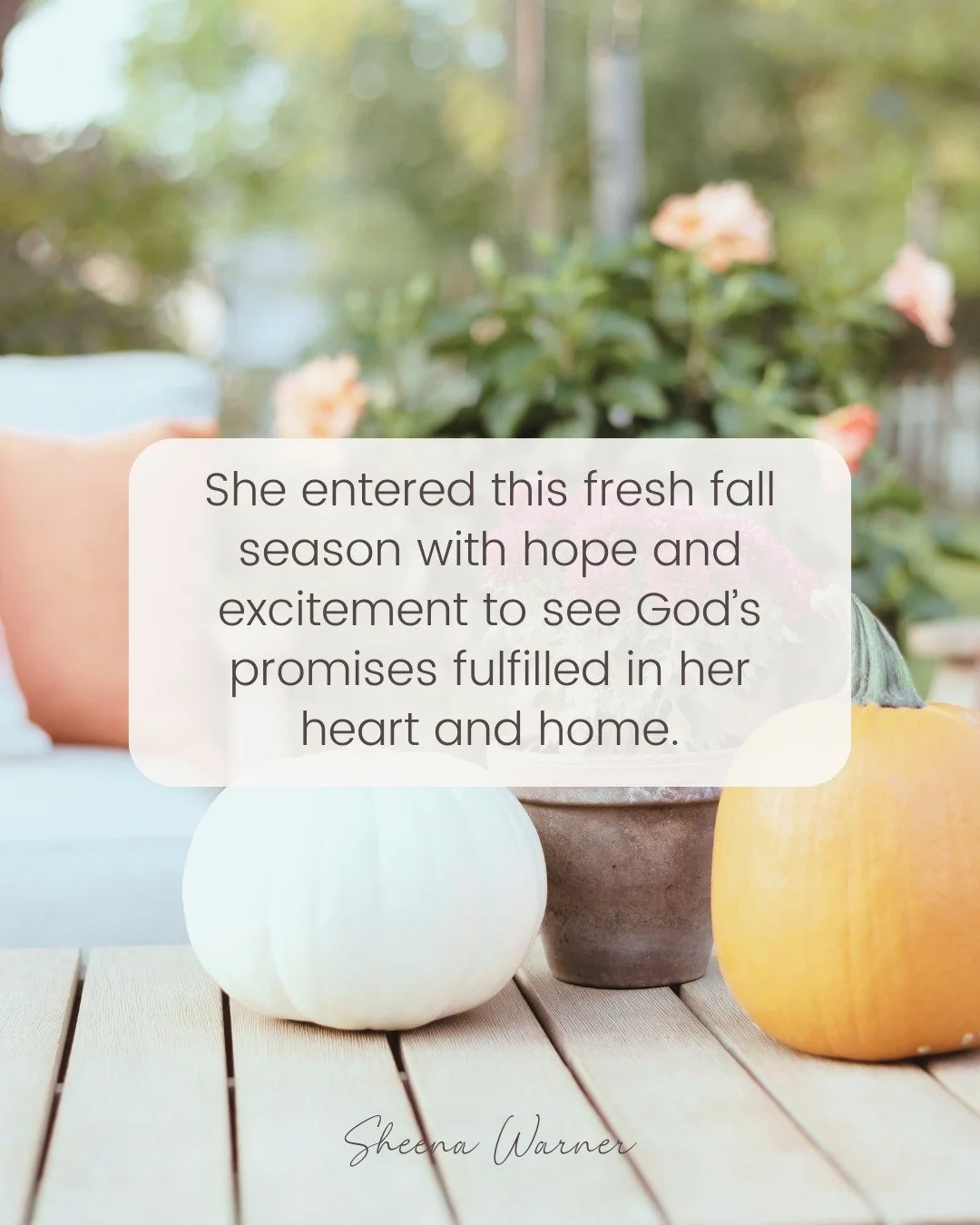 Before we rush into a new fall season, let&rsquo;s take a moment to breathe deeply and reflect on these last summer months. 

Perhaps it felt like a rollercoaster ride, with high moments of pure joy and laughter, and low moments of heavy-hearted sigh