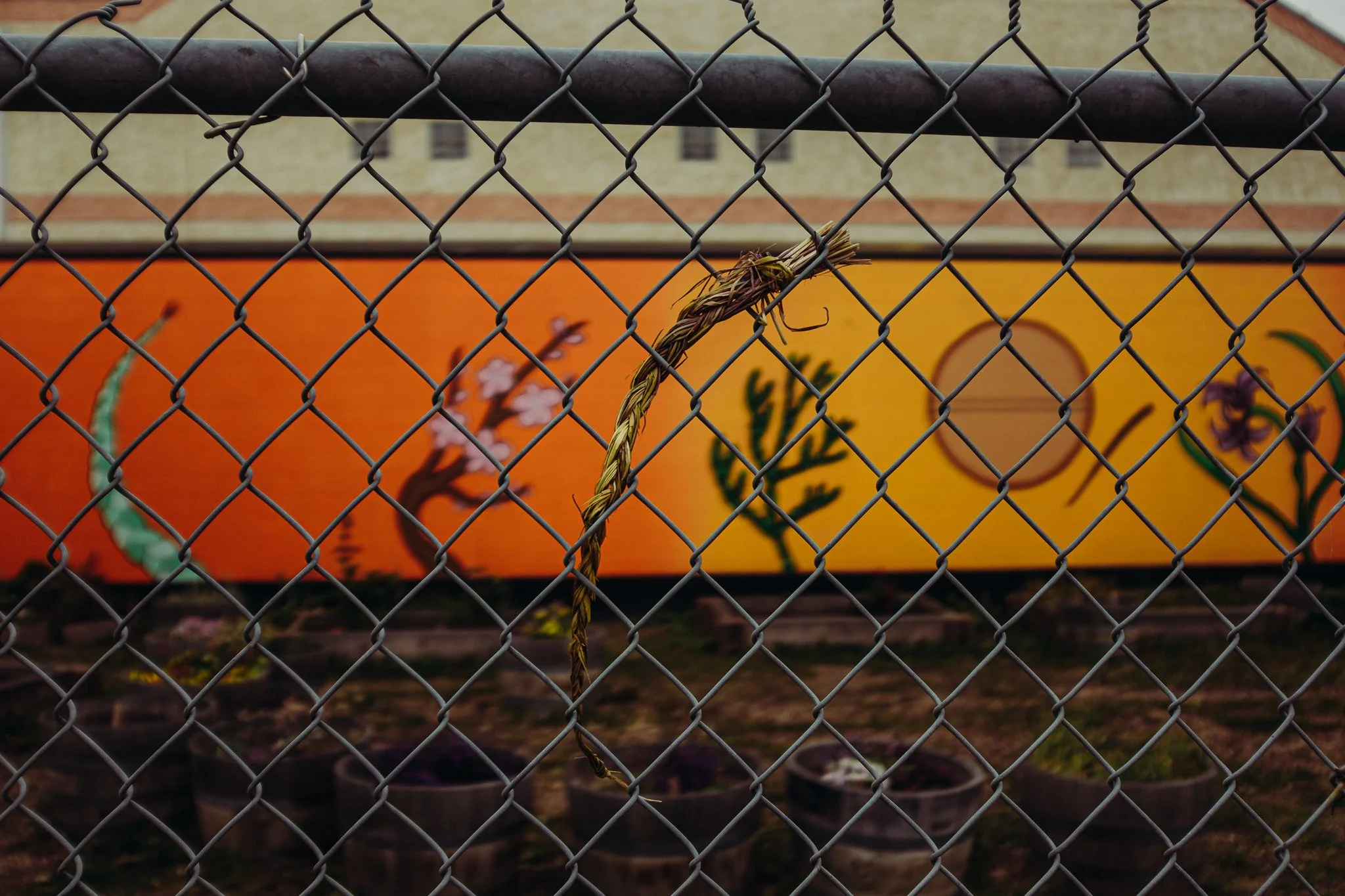 Housing Complex Vignettes Outtakes-5.jpg