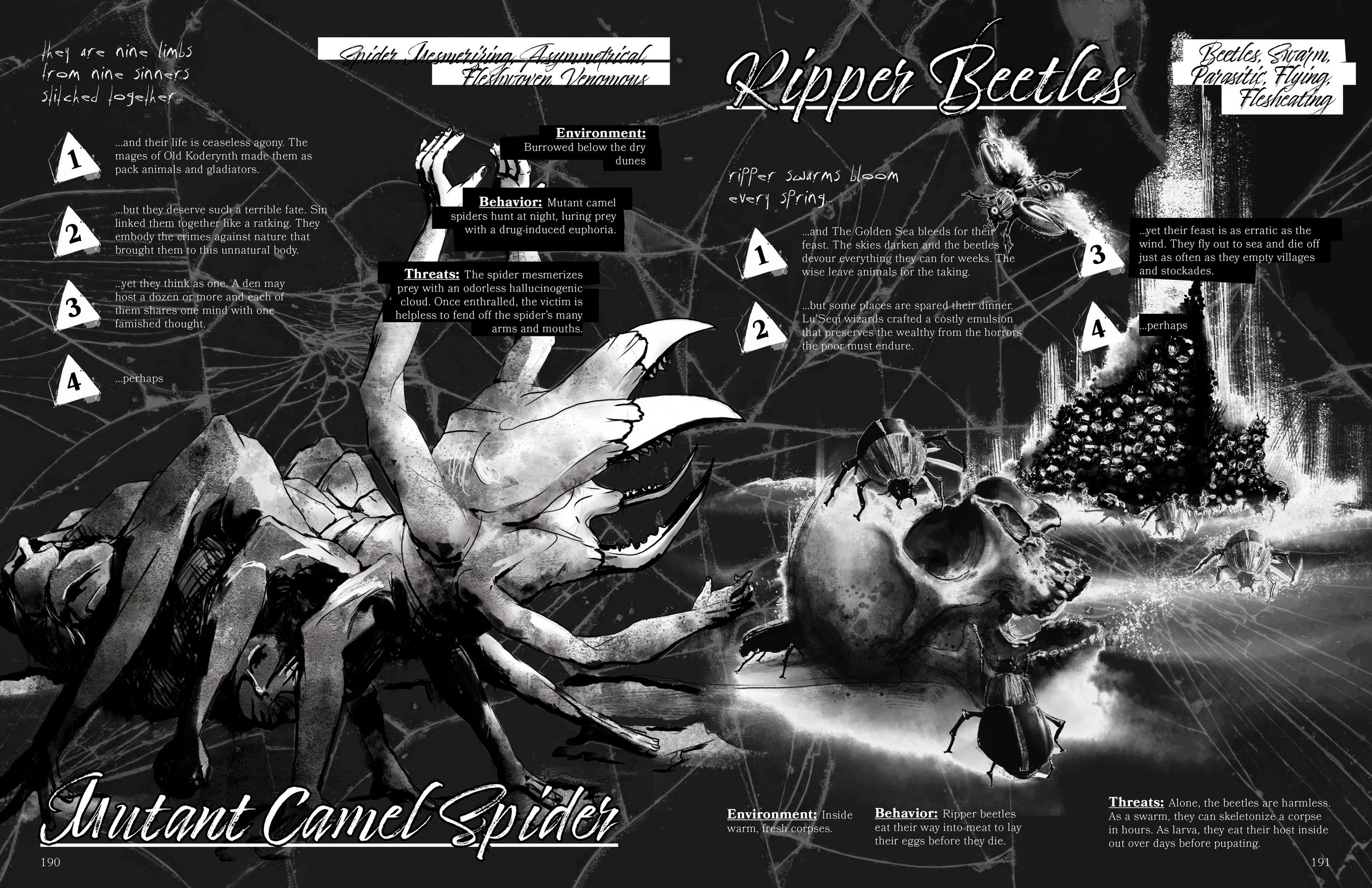 IKEC STD 12132596.jpg