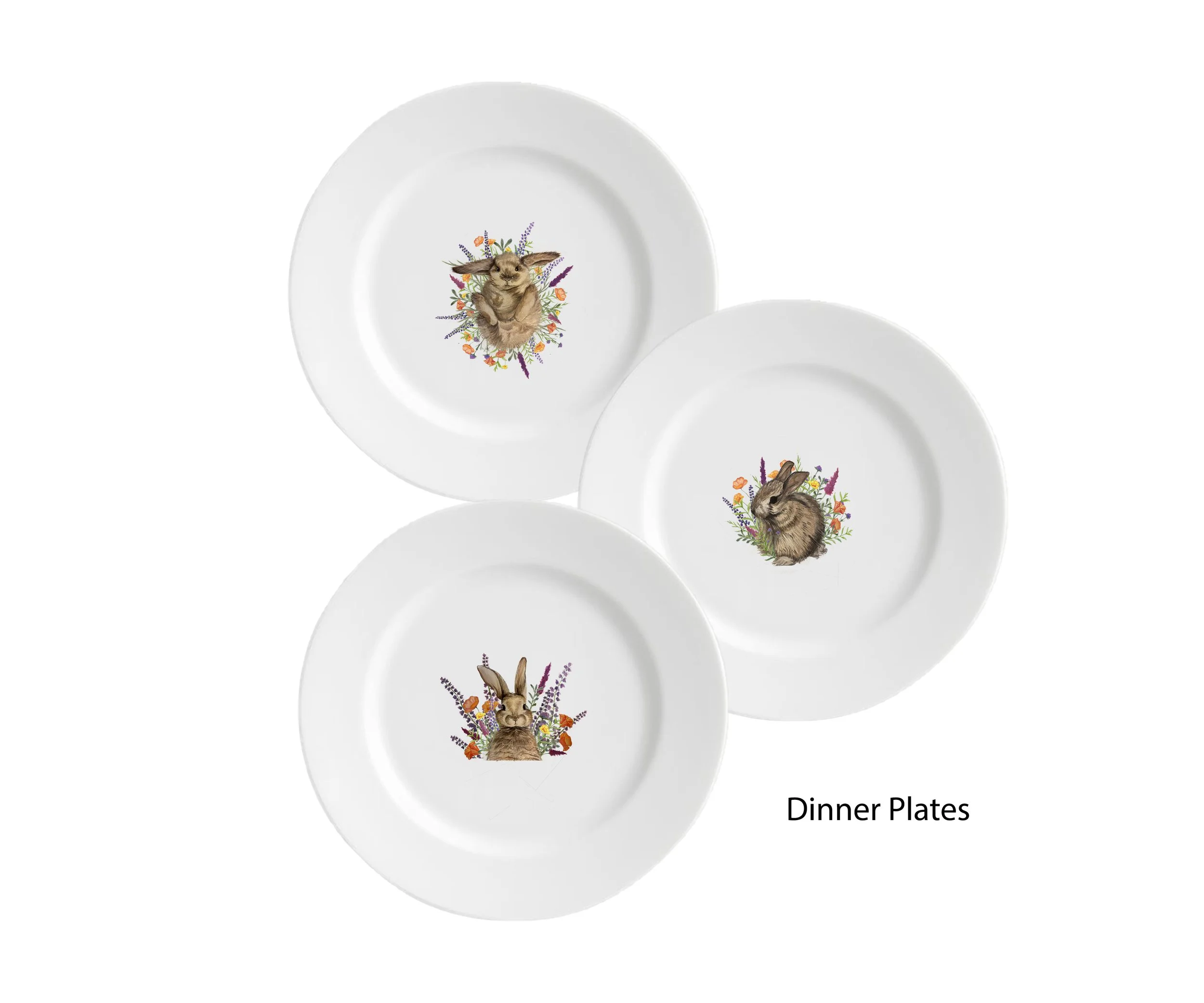 spring plates.jpg
