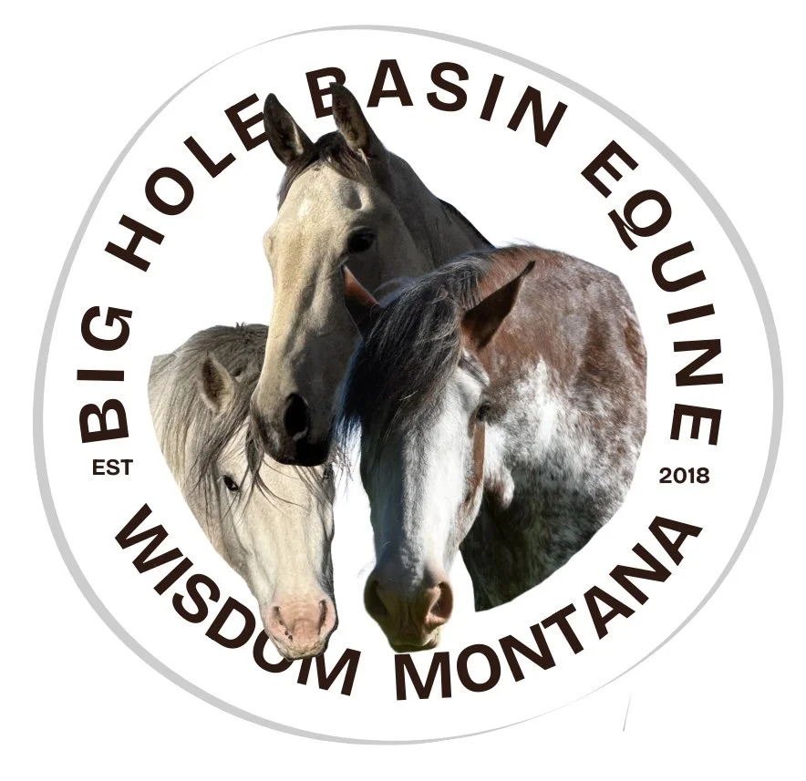 BIG HOLE BASIN EQUINE