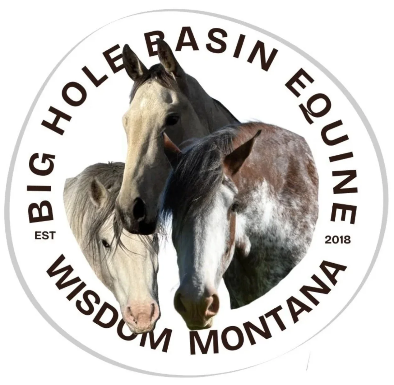 BIG HOLE BASIN EQUINE