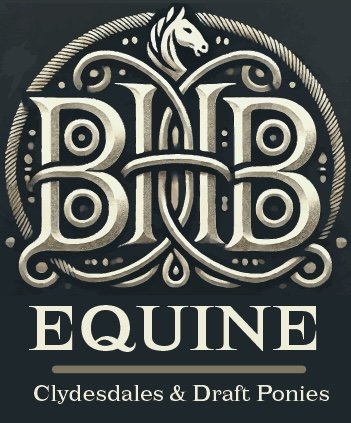 BIG HOLE BASIN EQUINE