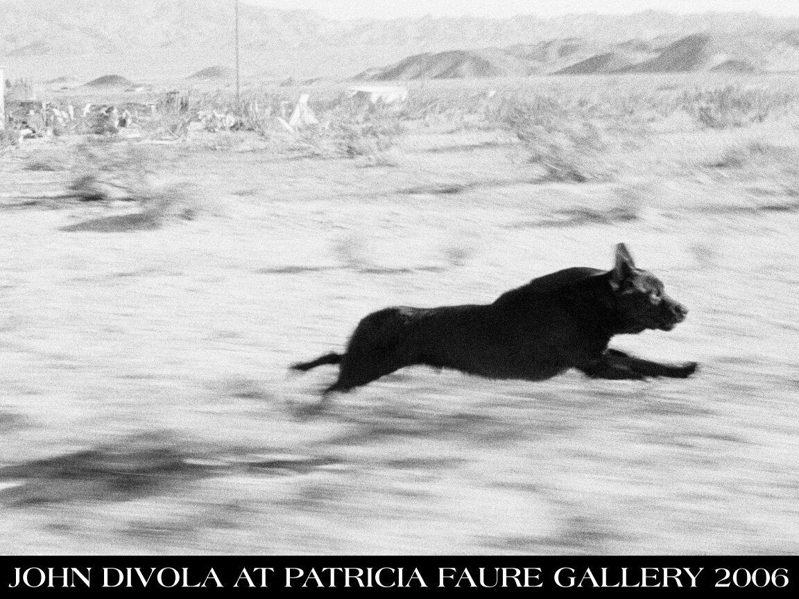 John Divola