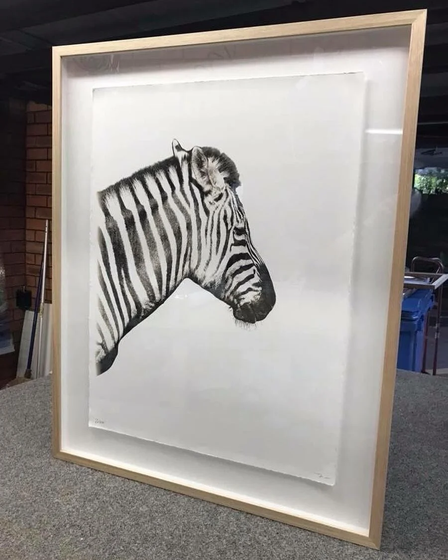Zebra 🦓 .
.
.
.
#framinghell #zebra #safari #floatingart #rawedges #blackandwhite #oakframe #animaldrawing #zebradrawing #behindglass