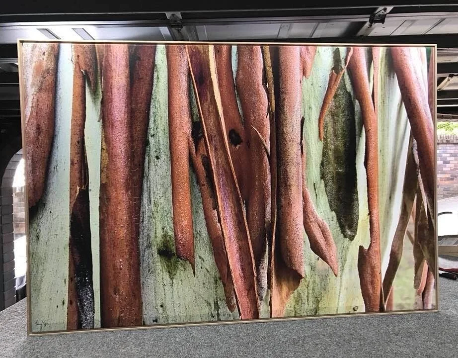 @tonyreadesigns photography on stretched canvas &amp; floating frame. 👌🏻
.
.
.
#framinghell #barkdetail #closeup #naturephotography #gumtree #crunchybark #treebark #australianbush #art #design #interiordesign #naturelover #customframing