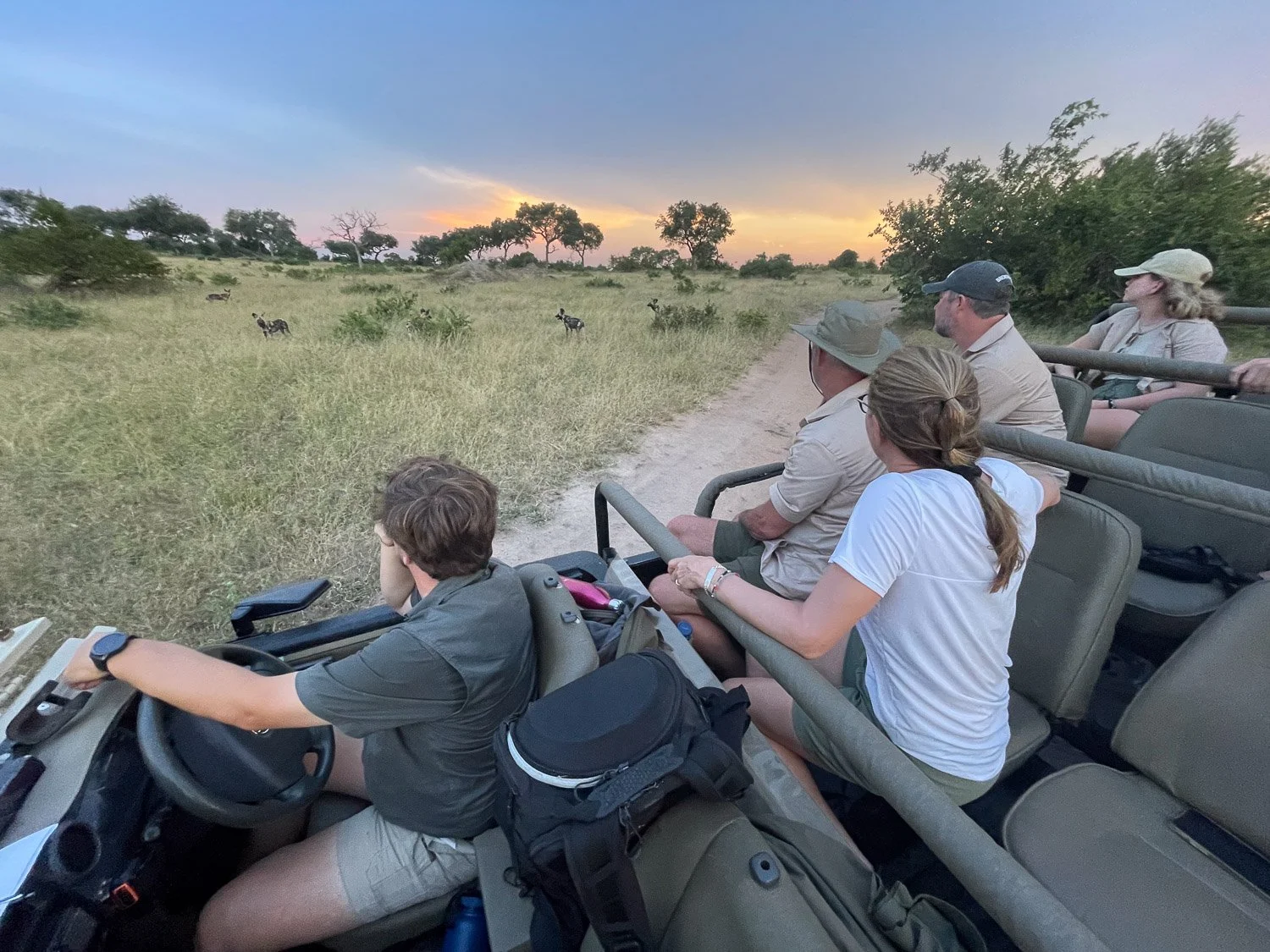 Guests viewing wilddogs.jpg