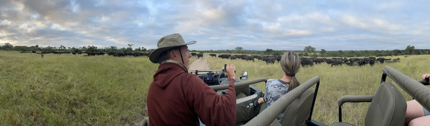 Guests with herd of buffalo.jpg