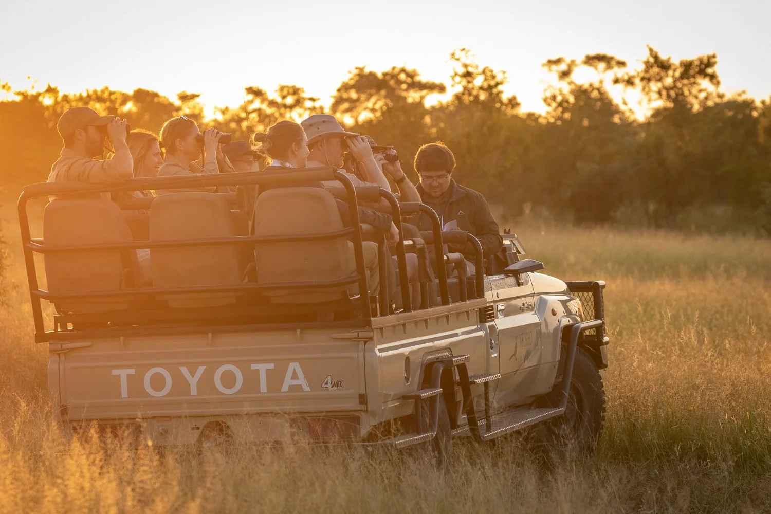 Safari Late Afternoon.jpg