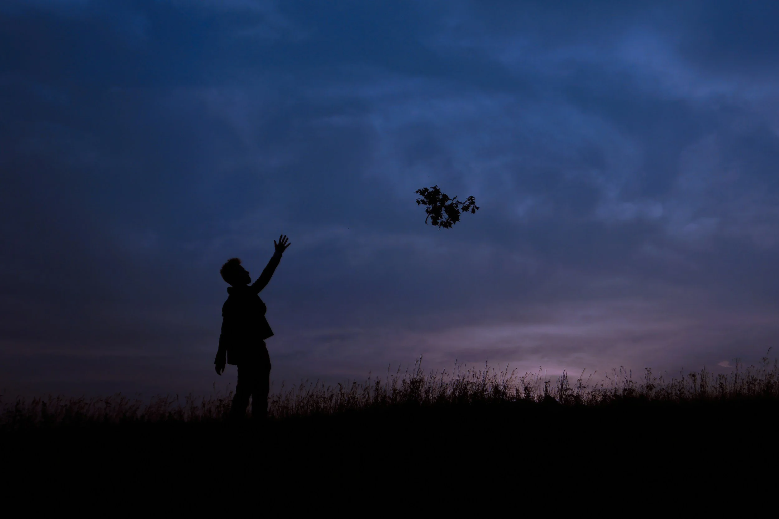 person letting go of branch in the wind
