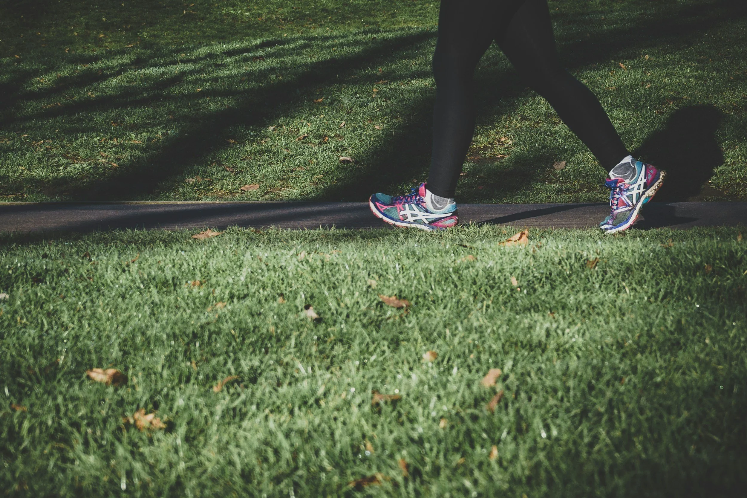 person walking on a path surrounded by grass