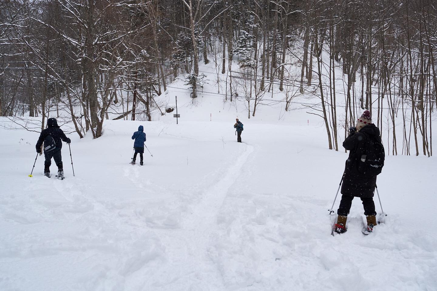 Snowshoeing in Hokkaido

J&rsquo;ai eu l&rsquo;occasion de faire de la marche en raquette dans la neige de Hokkaido, c&rsquo;&eacute;tait un vrai plaisir, j&rsquo;esp&egrave;re pouvoir recommencer prochainement

I had the opportunity to go snowshoein