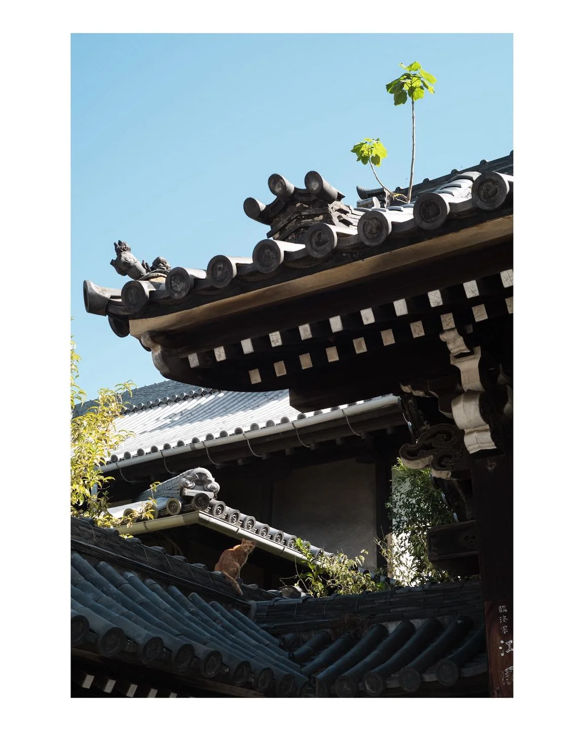 9 octobre 2025, Osaka.