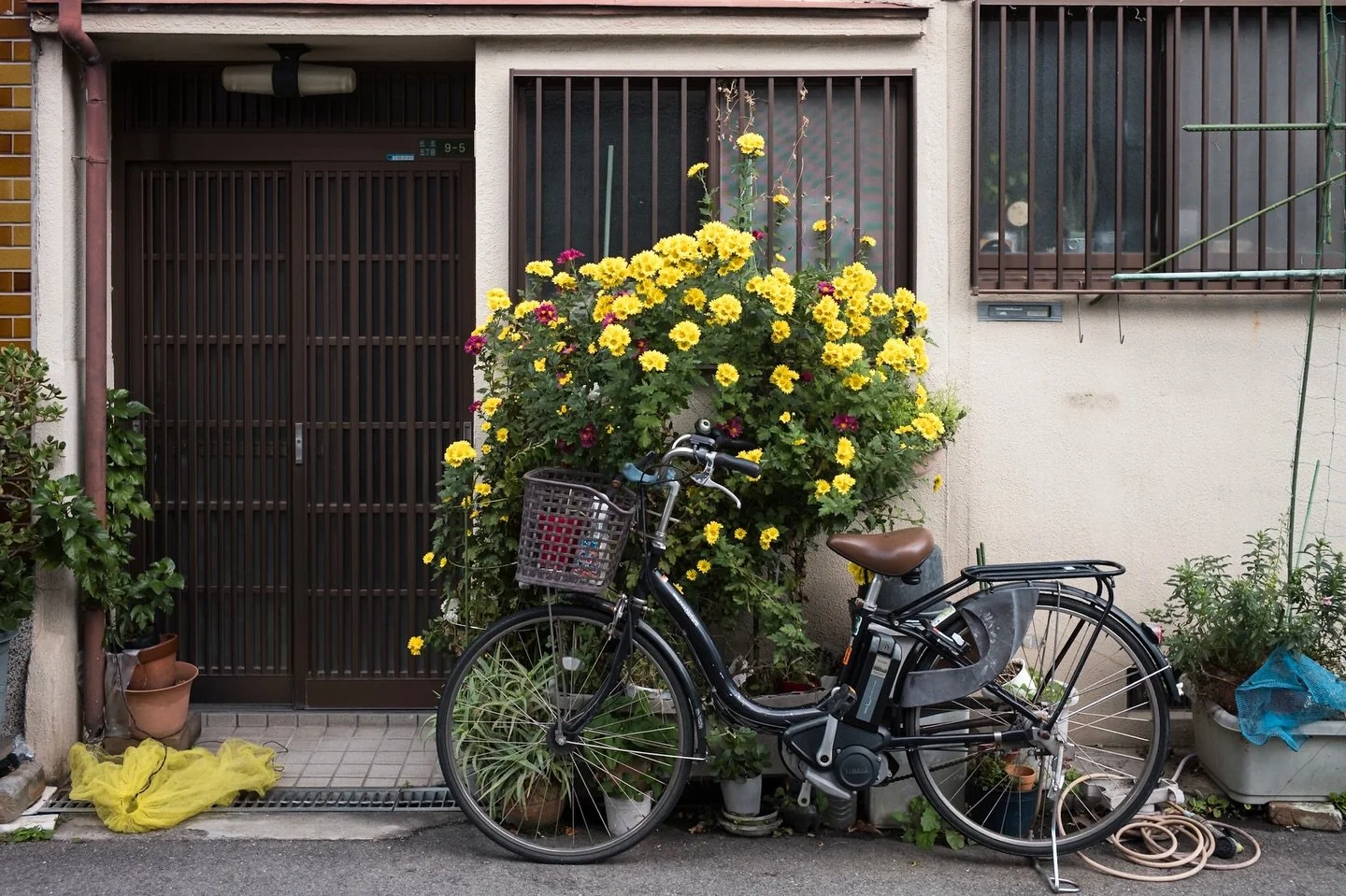 9 d&eacute;cembre 2025, Osaka.