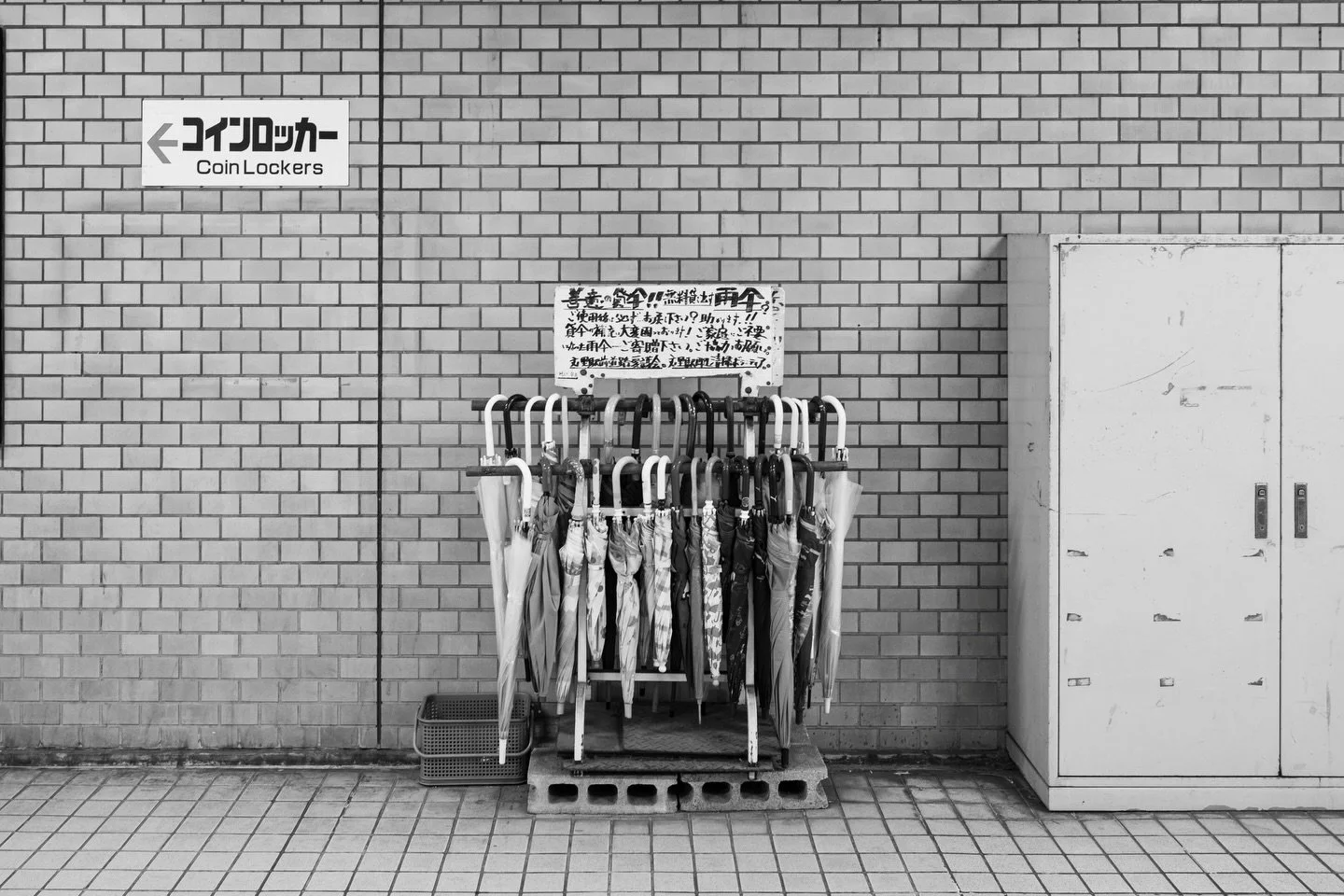 10 f&eacute;vrier 2026, Osaka